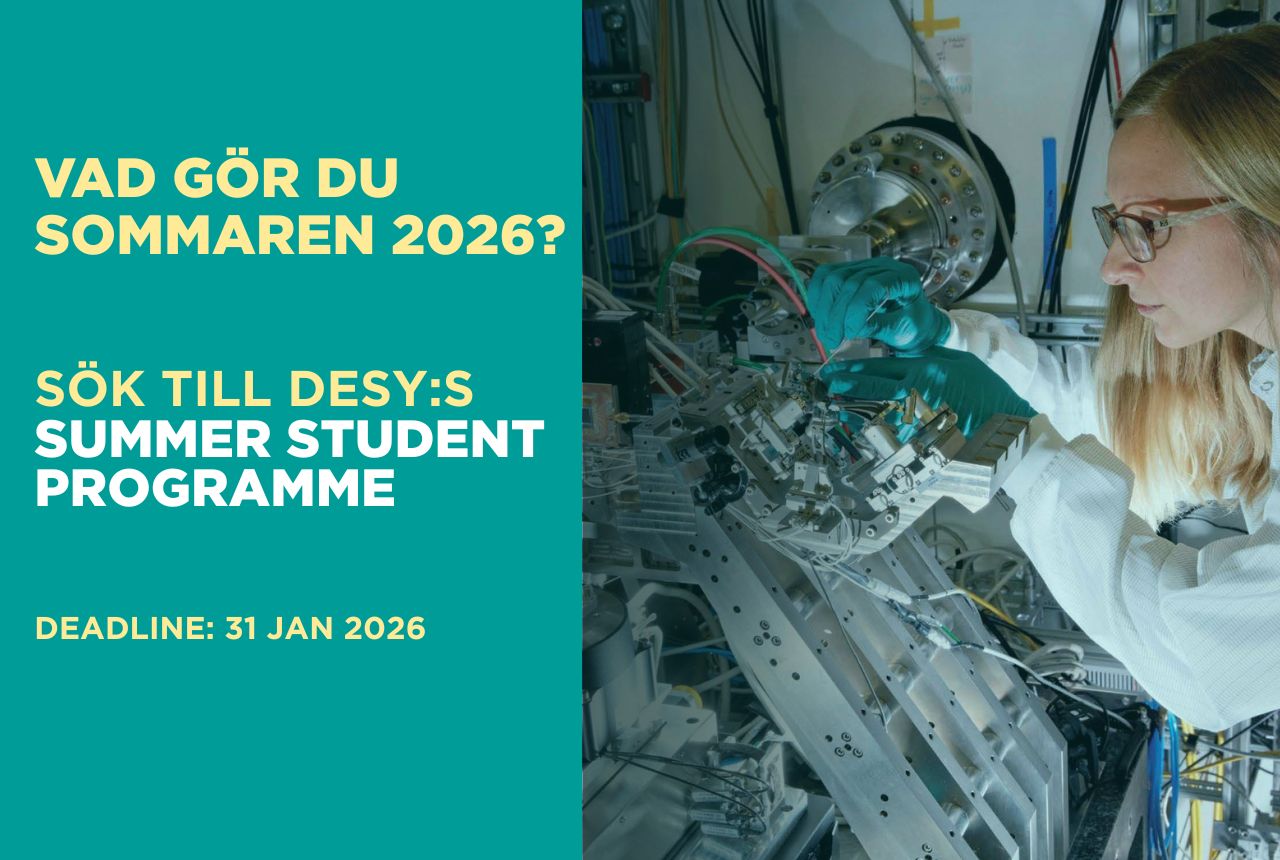 20251216 DESY Summer Student Programme